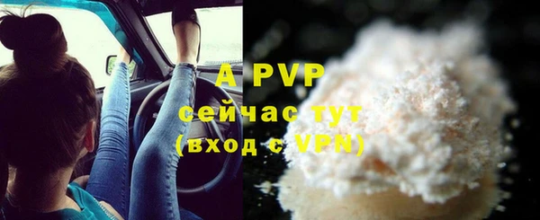 apvp Снежногорск