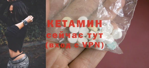 apvp Снежногорск