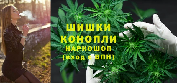 apvp Снежногорск