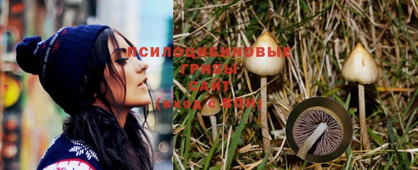 apvp Снежногорск