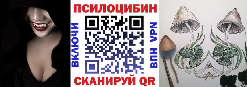 Псилоцибиновые грибы MAGIC MUSHROOMS  OMG как зайти  Хвалынск  купить  цена 